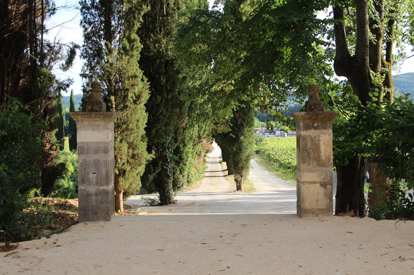 Chateau De L'Olivete Cornillon Exterior photo